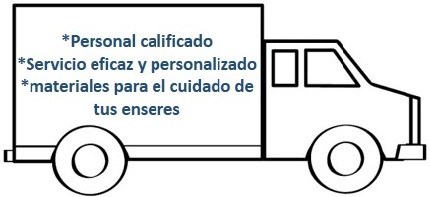 camionn nuevoo azull compressed