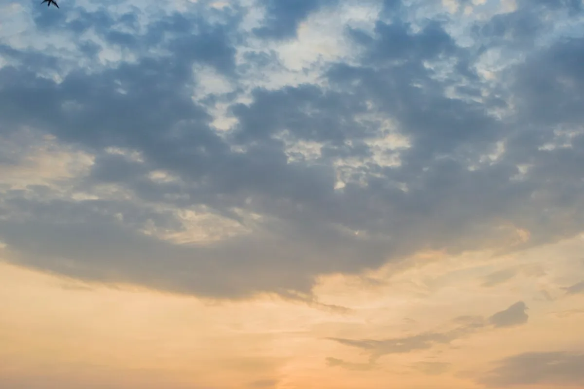 Mudanzas en Barrancabermeja Santander