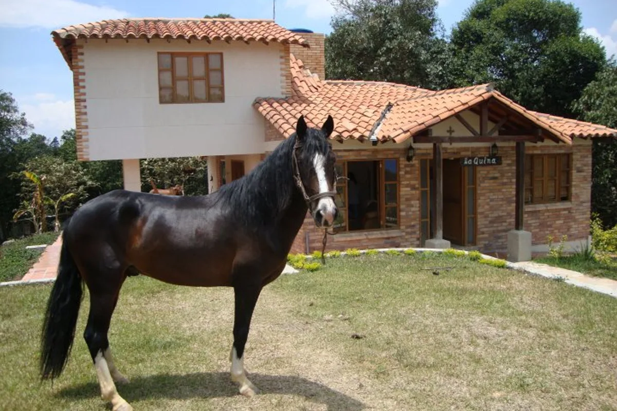 Mudanzas en Sotomayor Bucaramanga